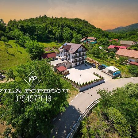 Hotel Vila Popescu Călimăneşti Exterior foto