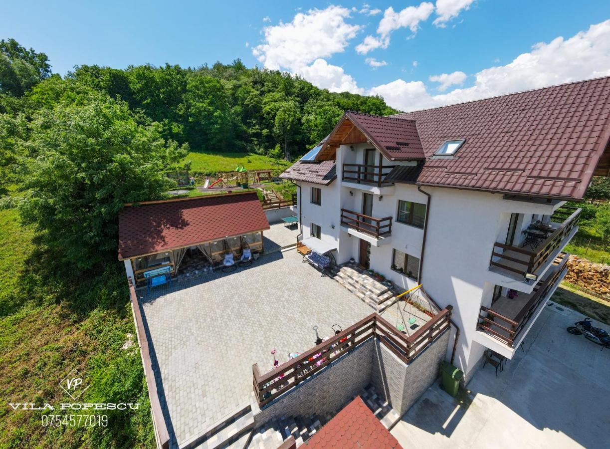 Hotel Vila Popescu Călimăneşti Exterior foto